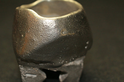 26209	隠崎隆一	　銀彩酒呑　KAKUREZAKI  Ryuichi