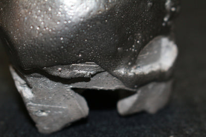 26209	隠崎隆一	　銀彩酒呑　KAKUREZAKI  Ryuichi