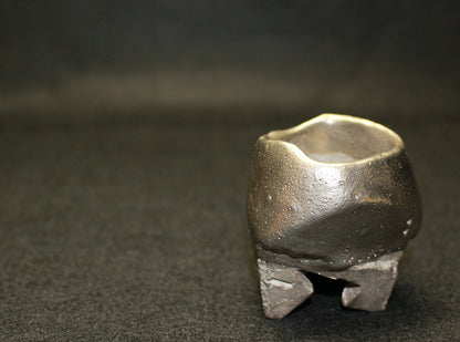 26209	隠崎隆一	　銀彩酒呑　KAKUREZAKI  Ryuichi