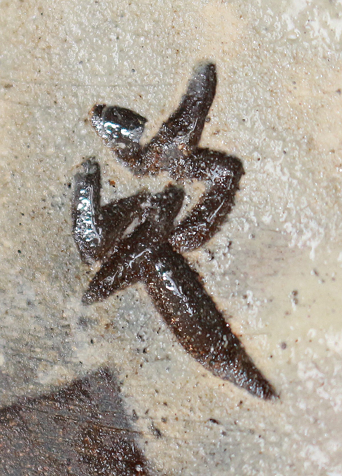 26189　 人間国宝   金城次郎　魚紋花瓶　KINJO　Jiro