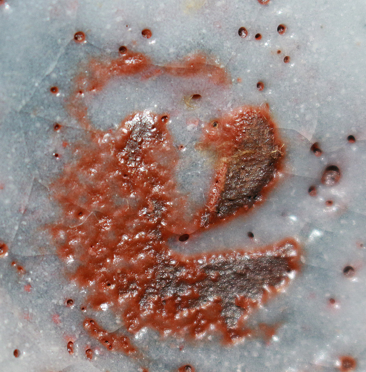 26208 人間国宝 加藤孝造 鼡志野徳利 KATO Kozo – アート飛田