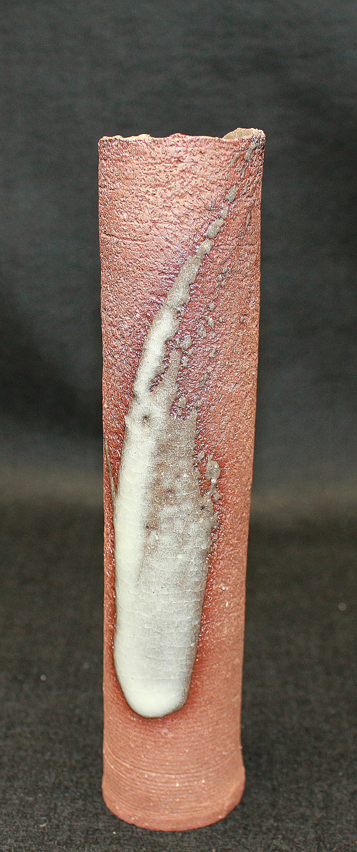 26223	八木一夫    花生    YAGI  Kazuo