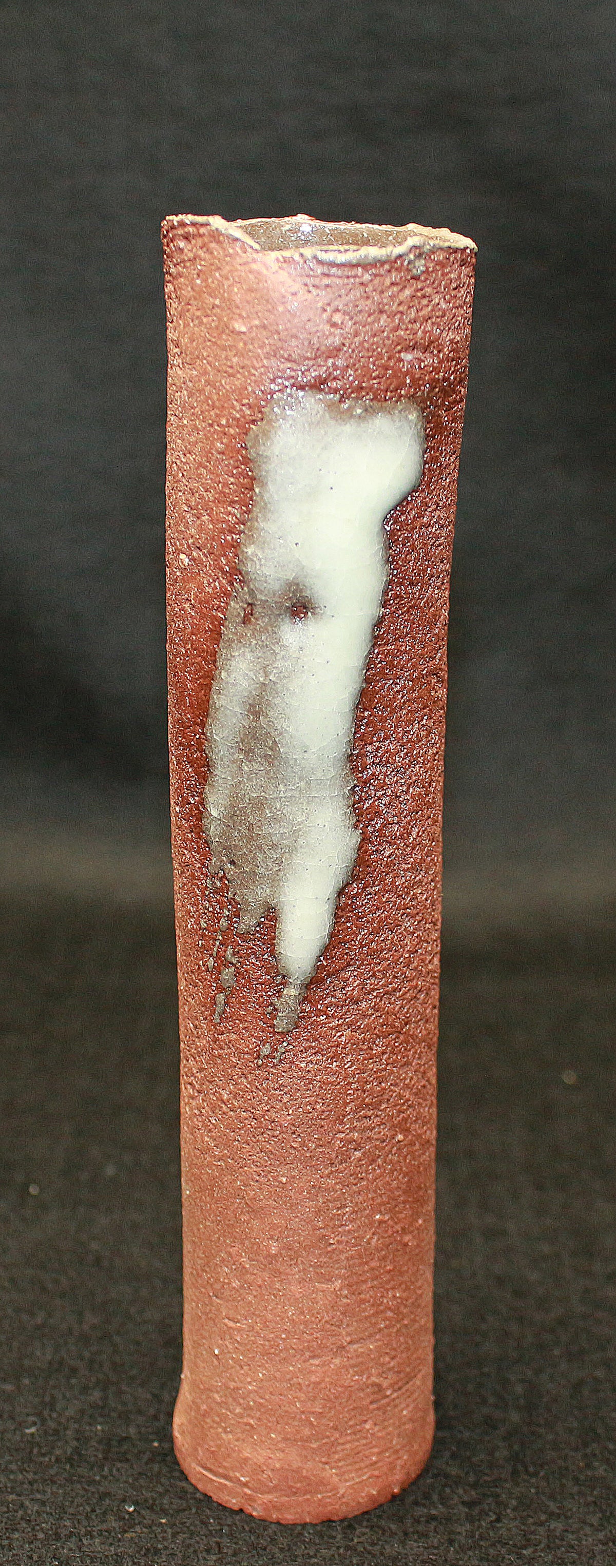 26223	八木一夫    花生    YAGI  Kazuo