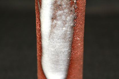 26223	八木一夫    花生    YAGI  Kazuo