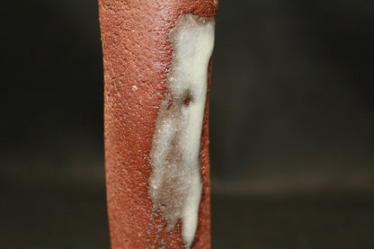 26223	八木一夫    花生    YAGI  Kazuo