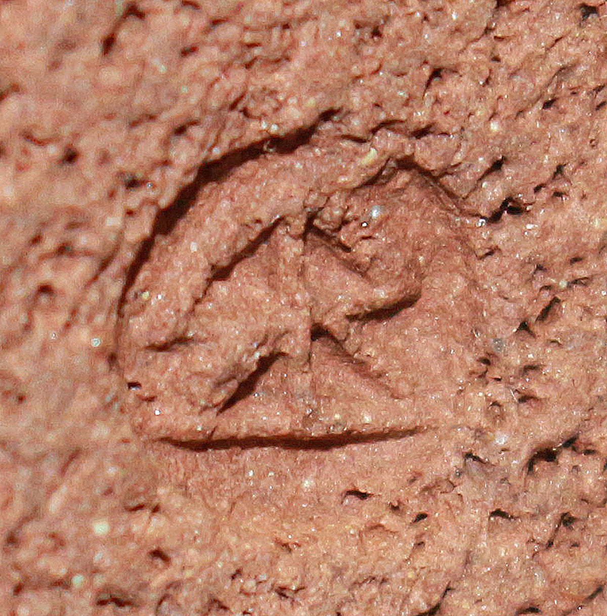 26223	八木一夫    花生    YAGI  Kazuo