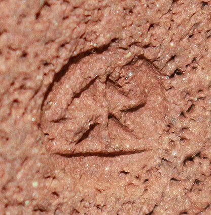 26223	八木一夫    花生    YAGI  Kazuo