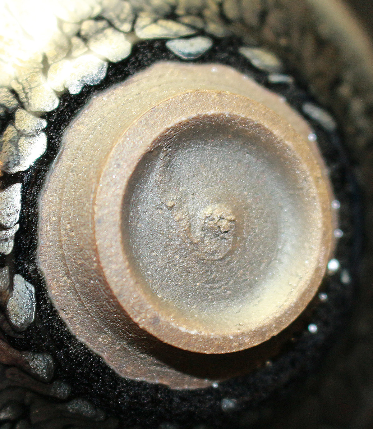 26225	鎌田幸二	　燿変油滴酒盃　  KAMATA  Koji