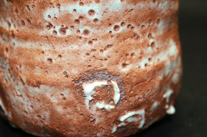 26228 Shino 茶碗 by Shiro Tsujimura