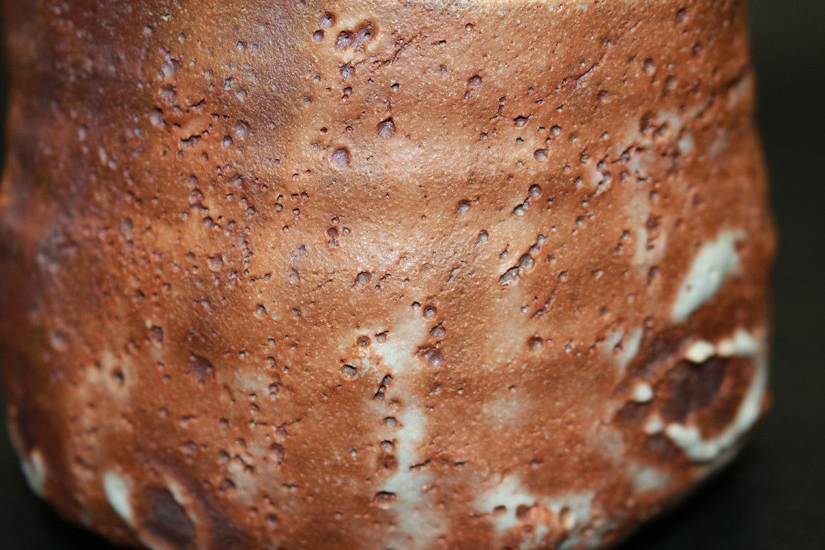 26228 Shino 茶碗 by Shiro Tsujimura