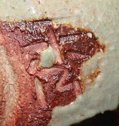 26237	高内秀剛	 鉄絵ぐい呑①    TAKAUCHI  Syugo