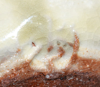 26249 Takauchi Syugo Red-painted chestnut ① TAKAUCHI Syugo