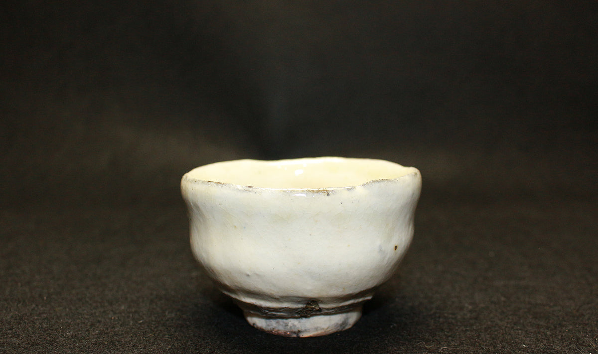 IMG_1440.jpg?v=1770277220&