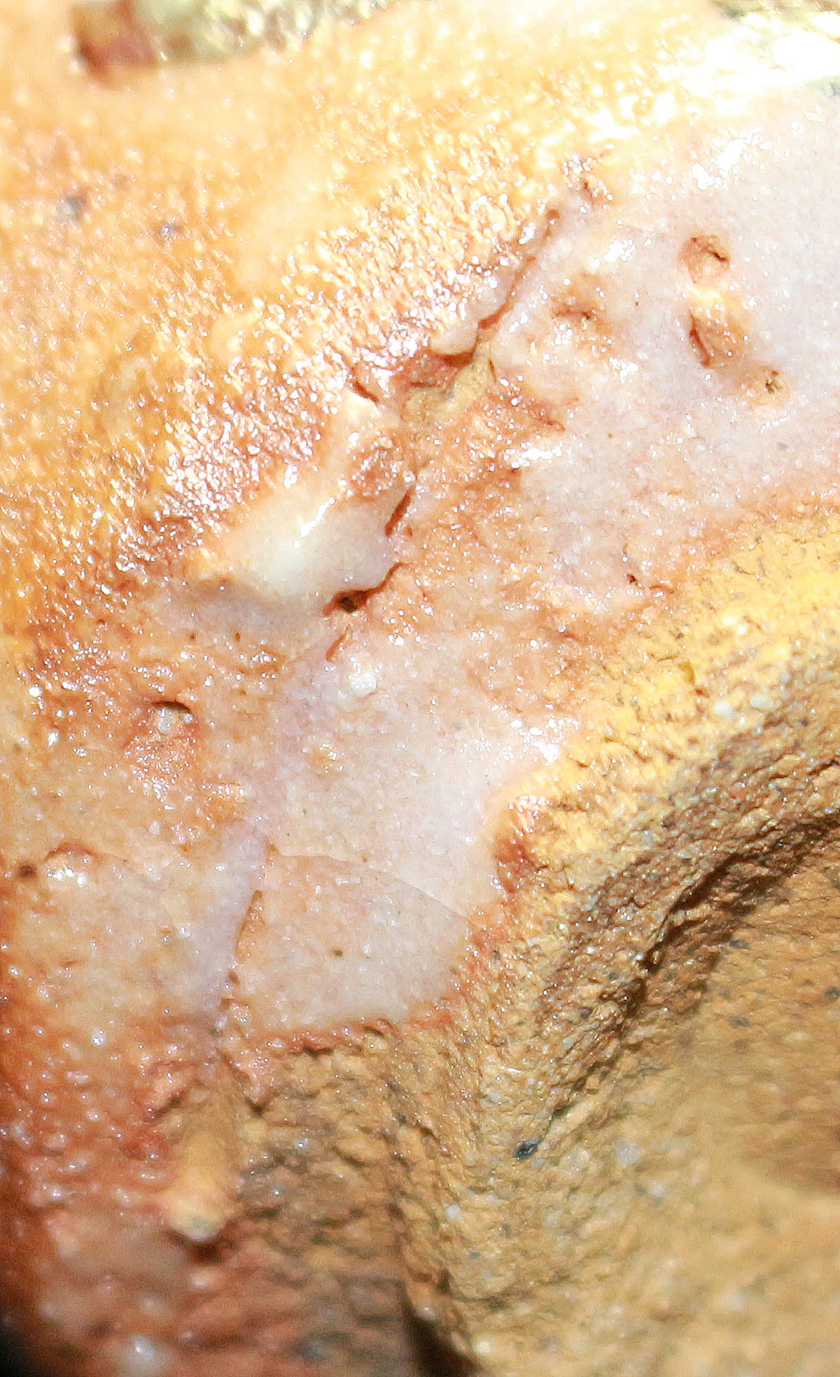 26251	辻村 塊	志野ぐい呑　TSUJIMURA  Kai