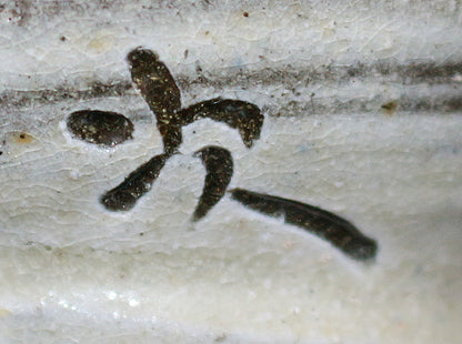 26258　 人間国宝    金城次郎    徳利（海老魚紋）　 KINJO　Jiro