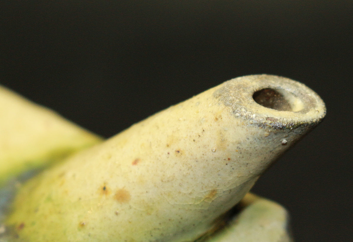 26261　 人間国宝　金城次郎　 魚紋抱瓶　KINJO　Jiro