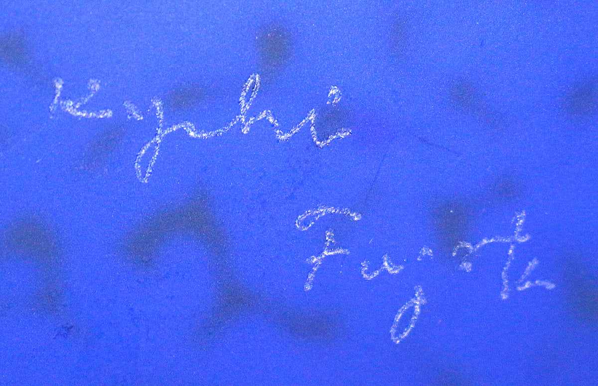 26272 Kyohei Fujita Hand-blown decorative box: Flowers on the lake FUJITA Kyohei