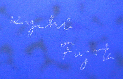 26272 Kyohei Fujita Hand-blown decorative box: Flowers on the lake FUJITA Kyohei