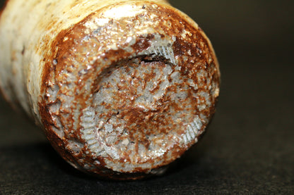 26273 Nakagawa Jinenbo Kohiki Karatsu Guinomi (Sake Cup)