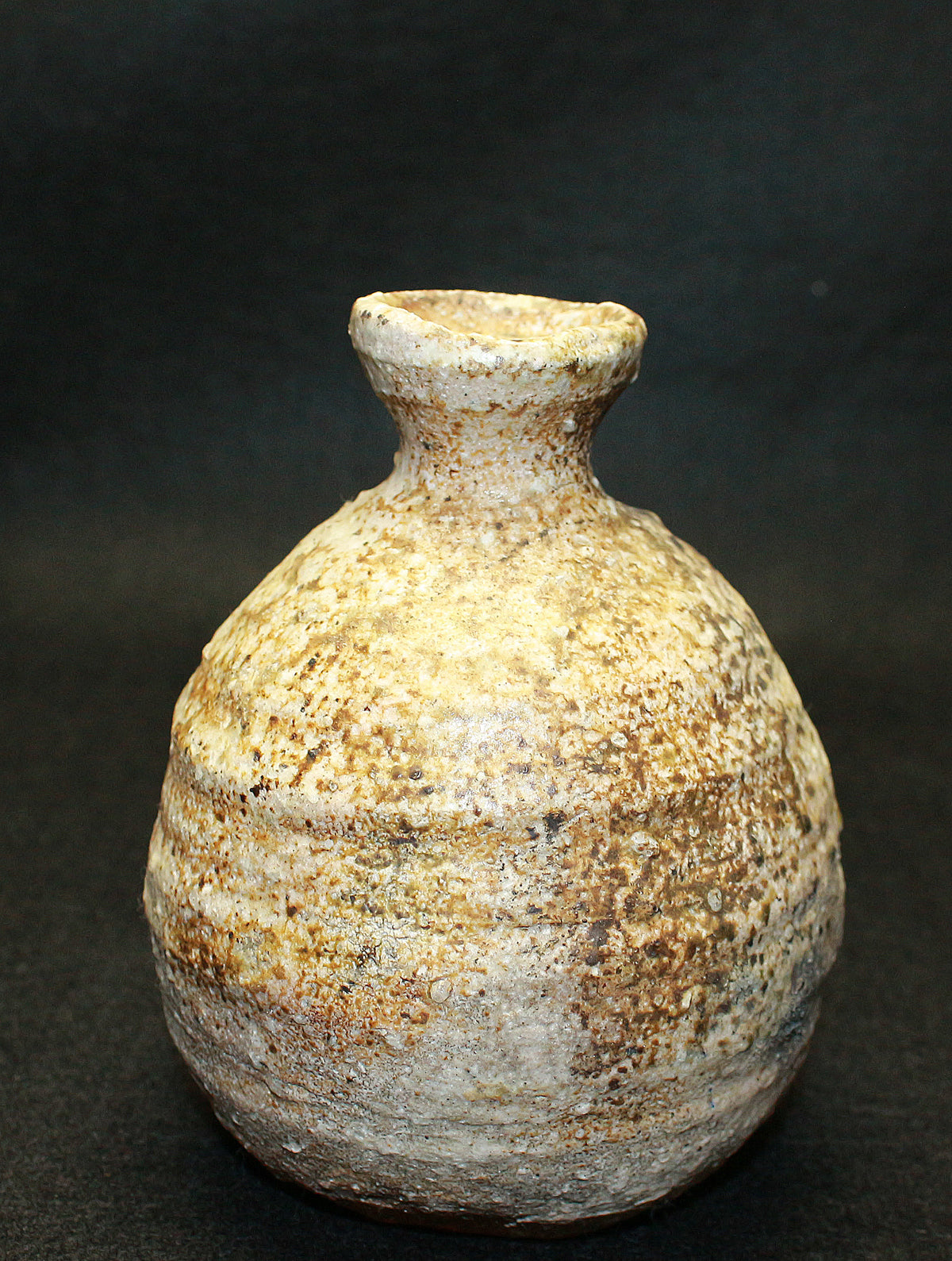 26284	古谷道生	　信楽徳利