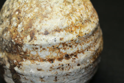 26284	古谷道生	　信楽徳利