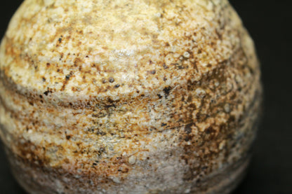 26284	古谷道生	　信楽徳利