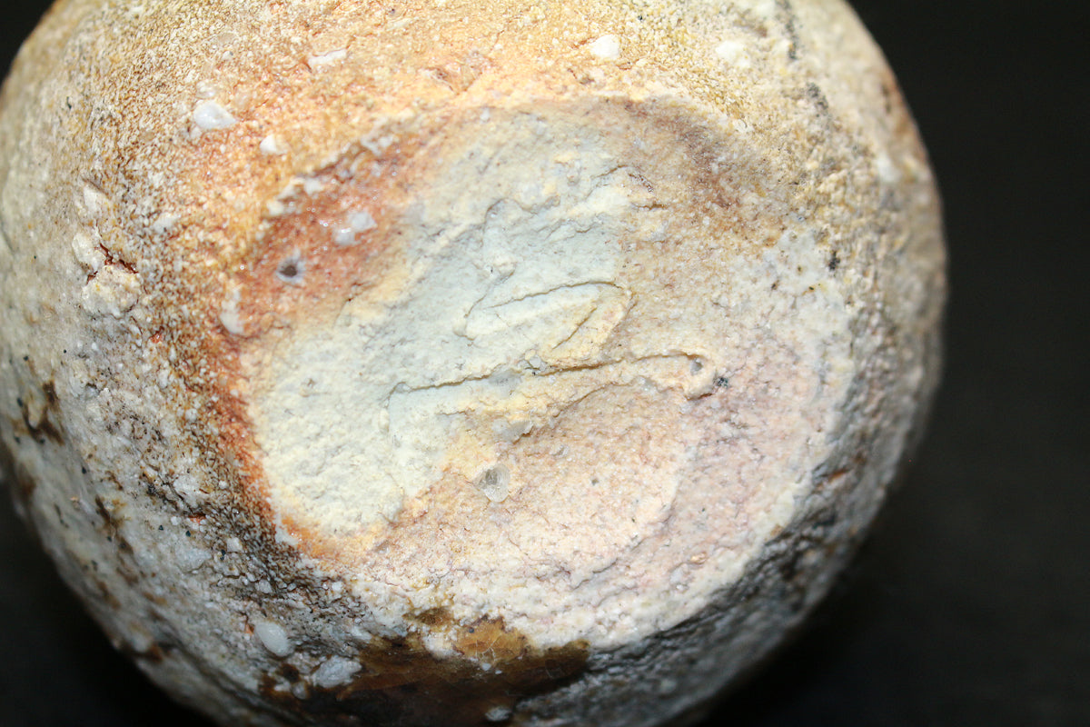 26284	古谷道生	　信楽徳利