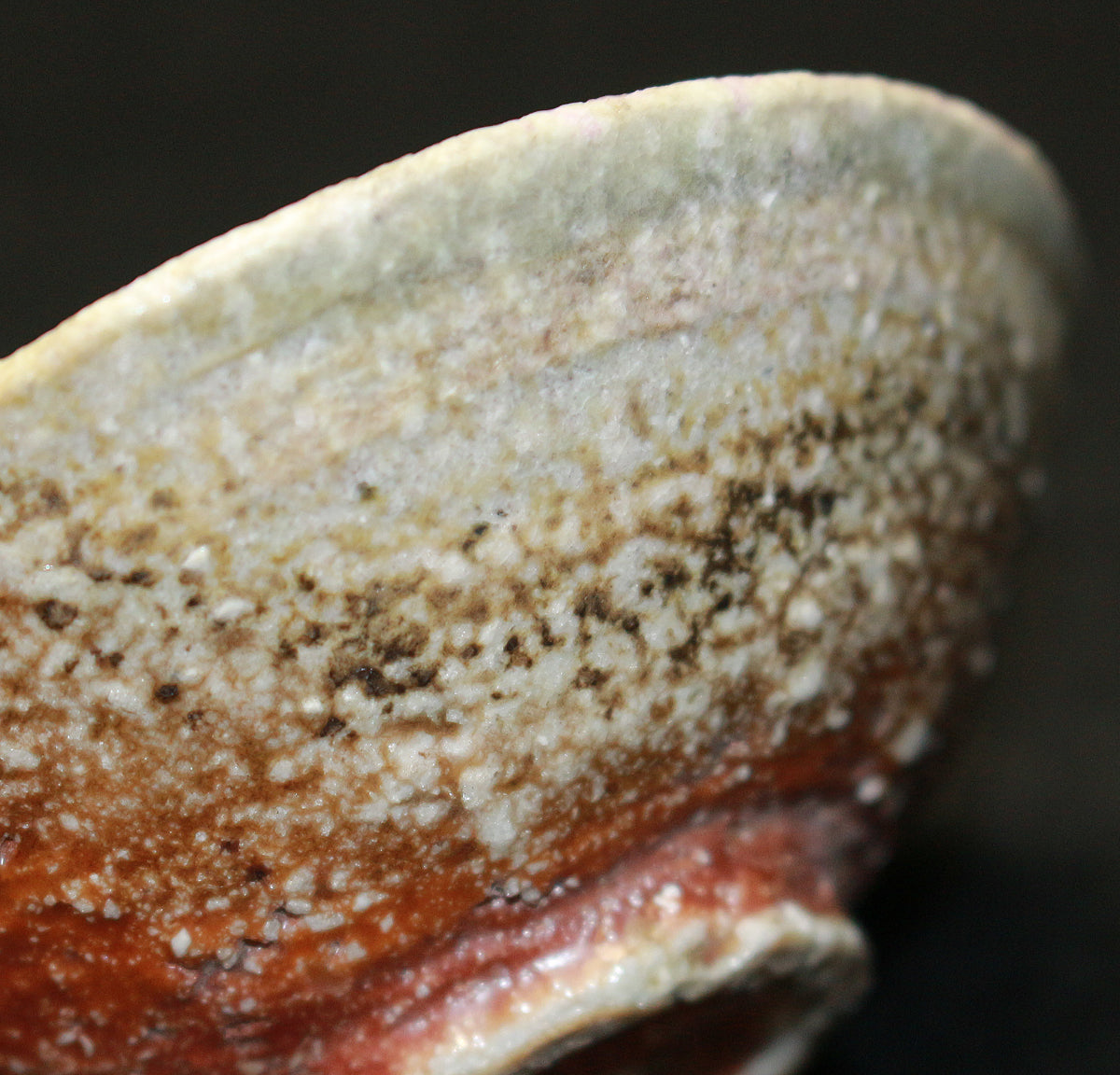 26274	細川護熙　信楽ぐい呑　HOSOKAWA　Morihiro