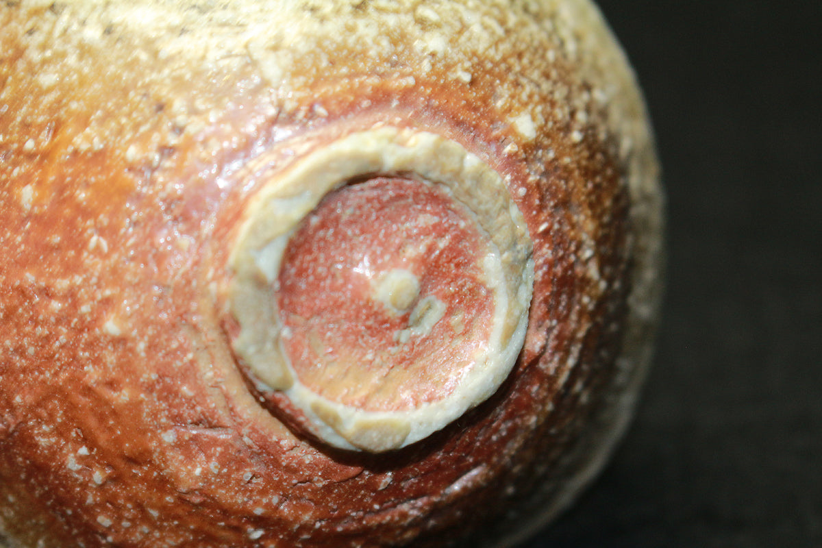 26274	細川護熙　信楽ぐい呑　HOSOKAWA　Morihiro