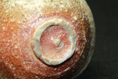 26274	細川護熙　信楽ぐい呑　HOSOKAWA　Morihiro