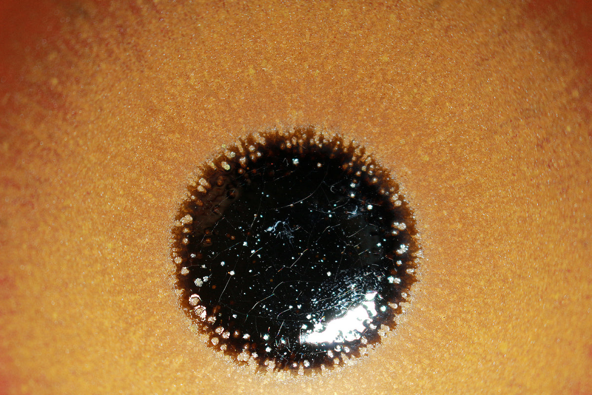 26292	人間国宝　福島善三　赫釉盃　FUKUSHIMA　Zenzou