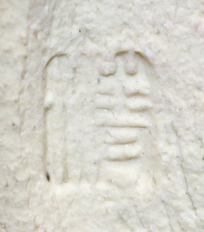 26293	人間国宝　原清　鉄釉馬文徳利     HARA　Kiyoshi