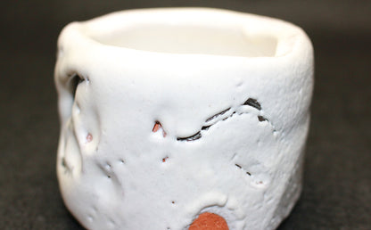 26303 12th Miwa Kyusetsu Kagetsu Sake Cup