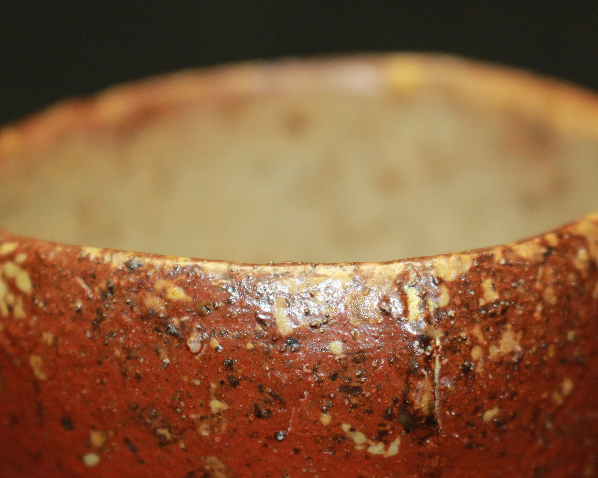 26308	森陶岳	ぐいのミ