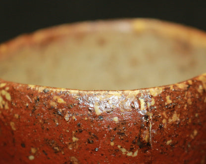 26308	森陶岳	ぐいのミ