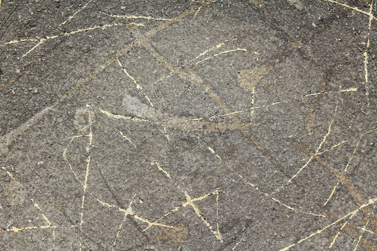 26316	加守田章二	炻皿 　KAMODA  Shoji