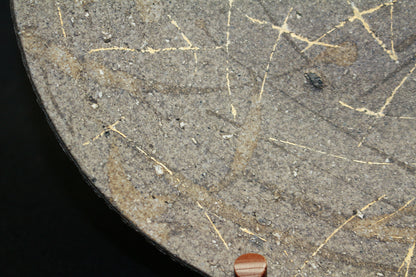 26316	加守田章二	炻皿 　KAMODA  Shoji