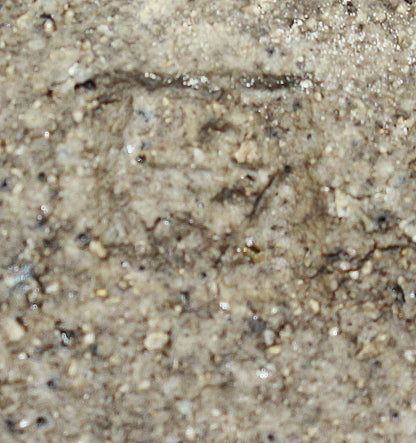 26316	加守田章二	炻皿 　KAMODA  Shoji