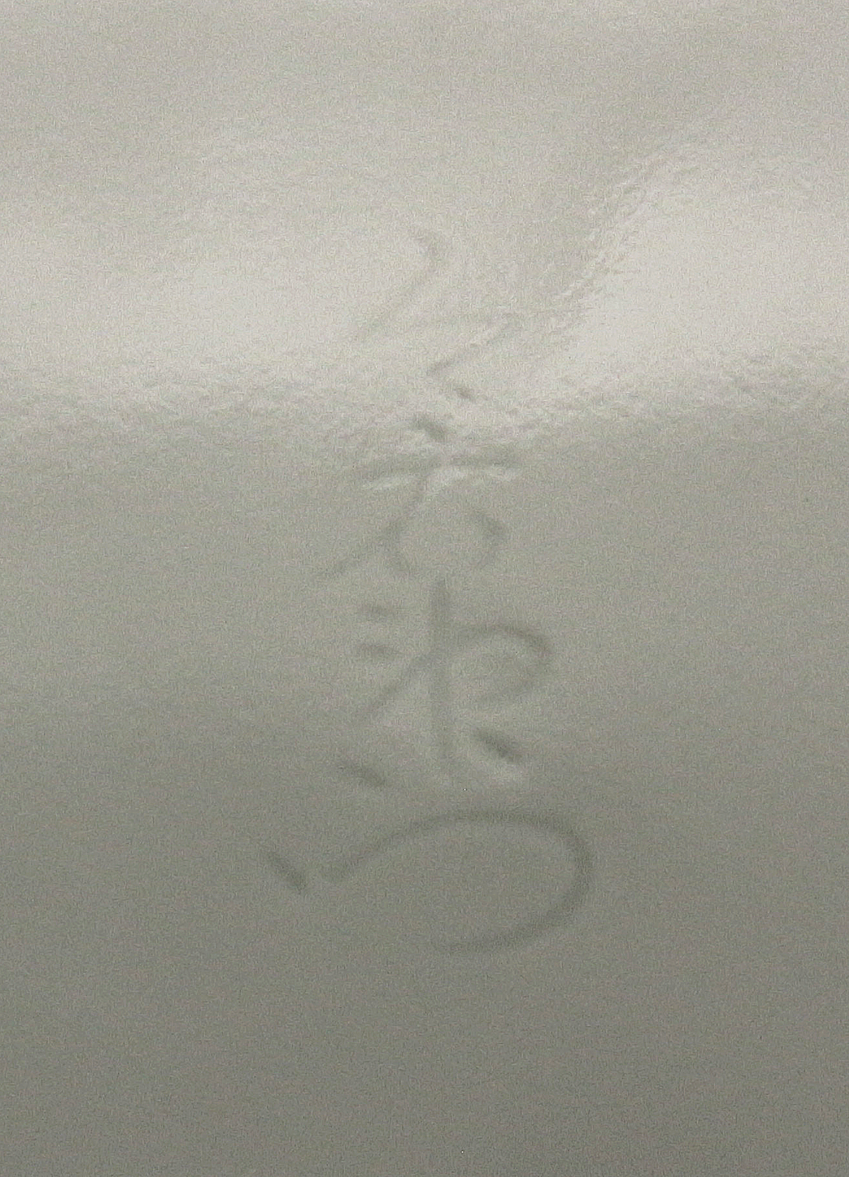 26428　人間国宝　１３代今泉今右衛門	色絵吹重ね草花文額皿（個展出品作品同手作）