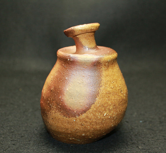 25733 Ryuichi Kakurezaki Bizen Sake Bottle