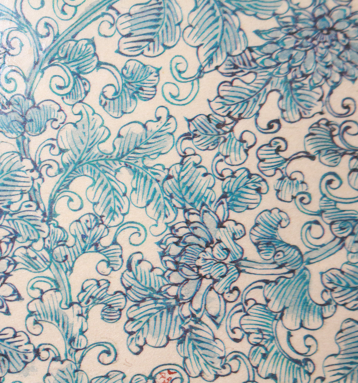 26038	葉山有樹	額　HAYAMA　Yuki