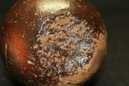 26063	伊勢﨑晃一朗	　引出黒徳利