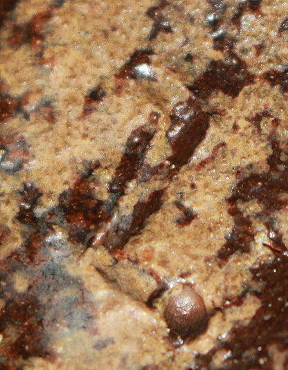 26063	伊勢﨑晃一朗	　引出黒徳利