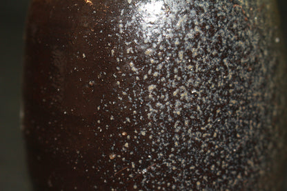 26062	伊勢崎淳	　備前黒徳利