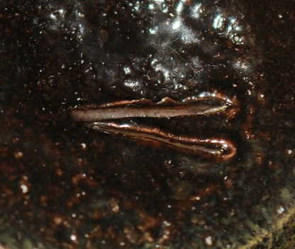 26062	伊勢崎淳	　備前黒徳利