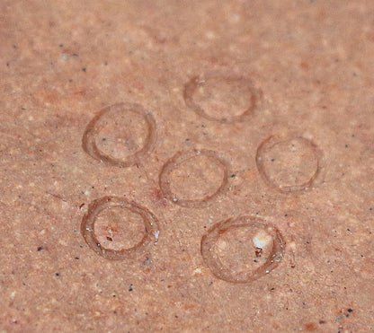 26064	森陶岳	三角陶筥