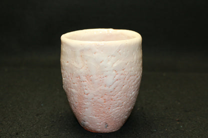 26067 Living National Treasure Kato Kozo Shino Teacup ① KATO Kozo 