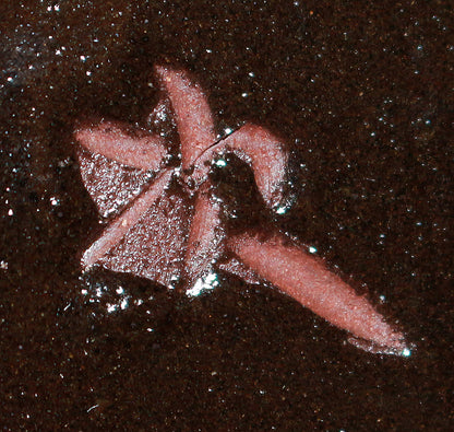 26072	人間国宝　金城次郎　壷屋焼　皿（海老魚紋）