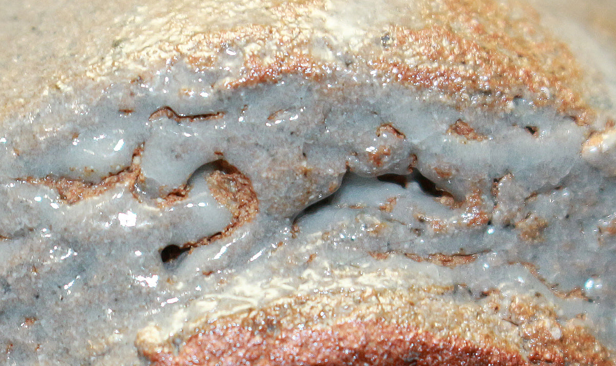 25398	西岡小十	  絵唐津ぐい呑　NISHIOKA　Koju