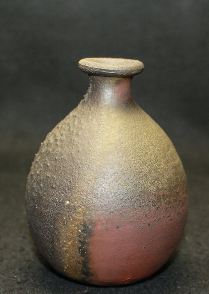 25396 Living National Treasure Fujiwara Yu Bizen Sake Bottle② FUJIWARA Yu 